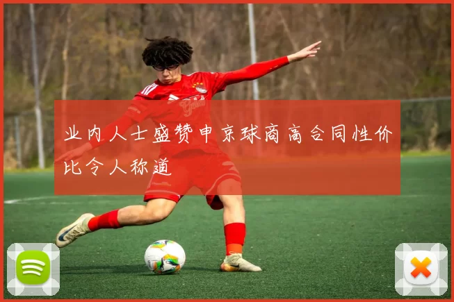 业内人士盛赞申京球商高合同性价比令人称道