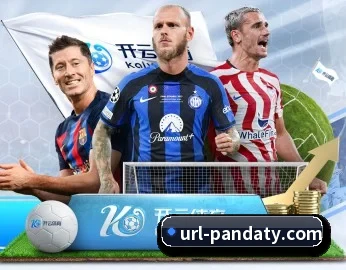 熊猫体育的故事 - 体育资讯内容服务(PANDASPORTS)